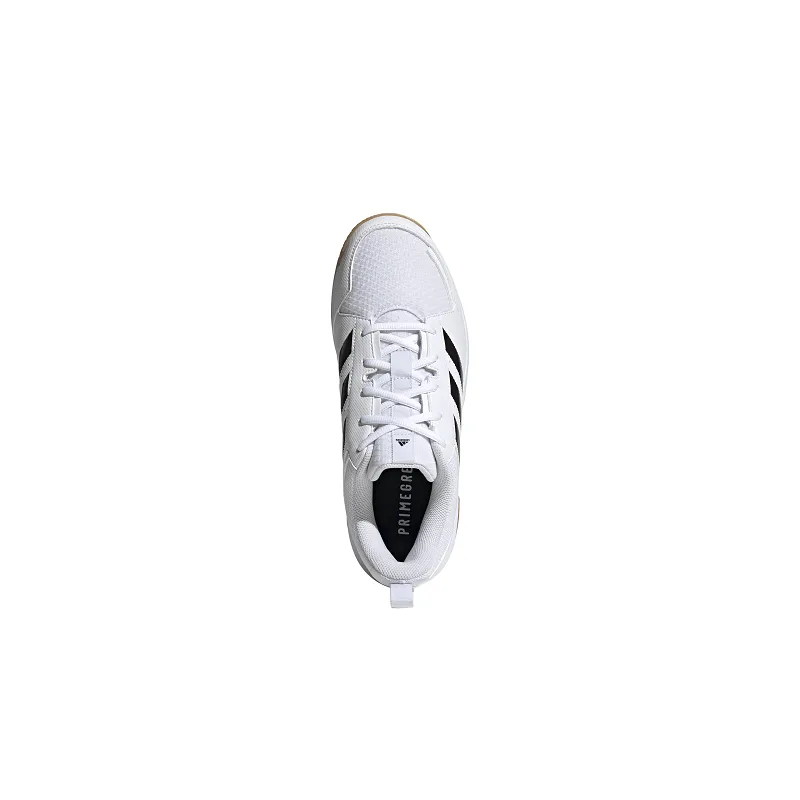 Chaussures Volley-ball Ligra 7 - Sport time