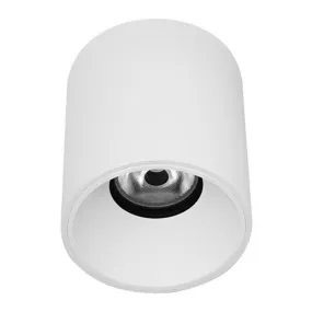 HAPPY 2 13W 3000K 1155Lm 40° DIM BLANC MAT (WA239WW30)